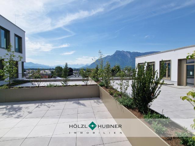 Büro mieten in Nußdorf am Haunsberg, Salzburg