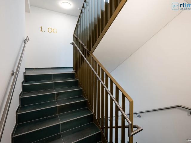 Apartment mieten in Mödling, Schöffelstadt