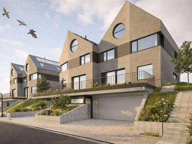 Einfamilienhaus kaufen in Pfeffingen, Basel-Landschaft