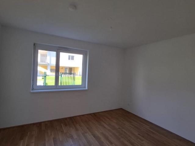 Apartment mieten in Neubau, Hörsching