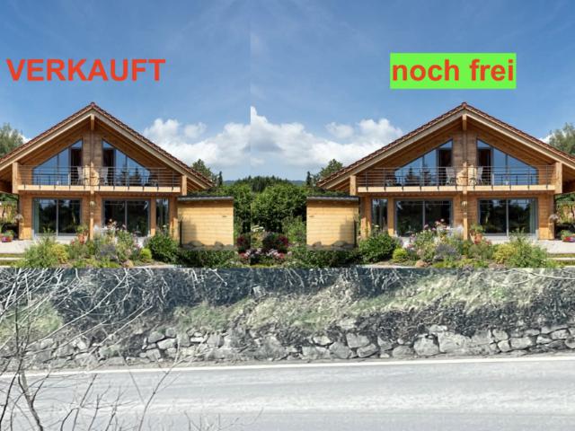 Immobilie kaufen in Staad (SG), St. Gallen