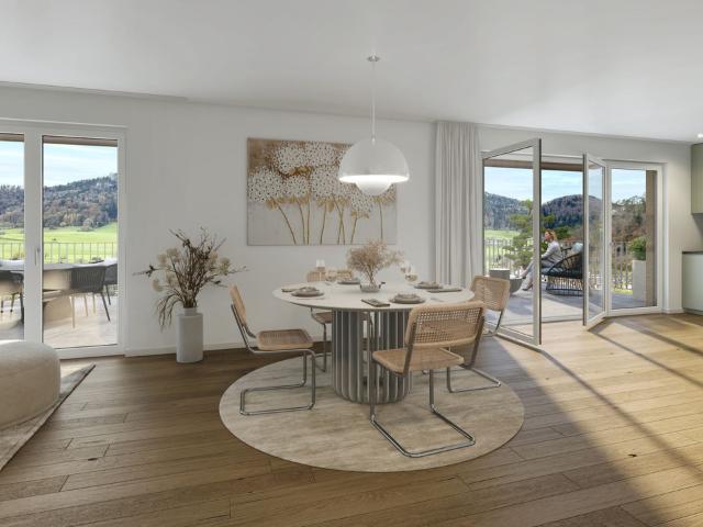 Wohnung kaufen in Erschwil, Solothurn
