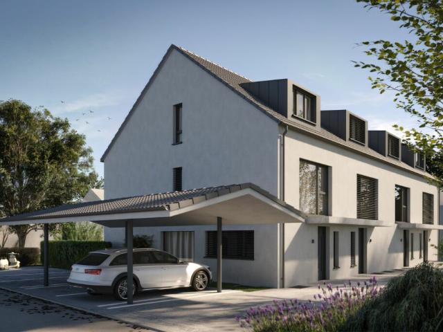 Immobilie kaufen in Lupsingen, Basel-Landschaft