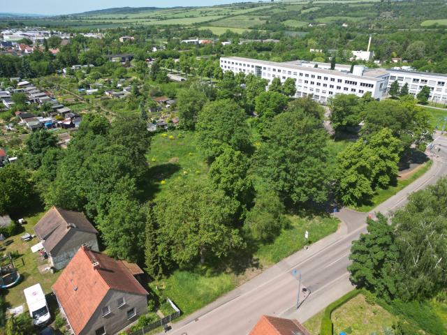 Erdgeschosswohnung kaufen in Martinsrieth, Sachsen-Anhalt