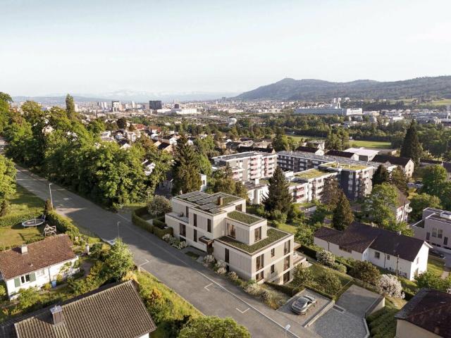 Immobilie kaufen in Oberengstringen, Bezirk Dietikon