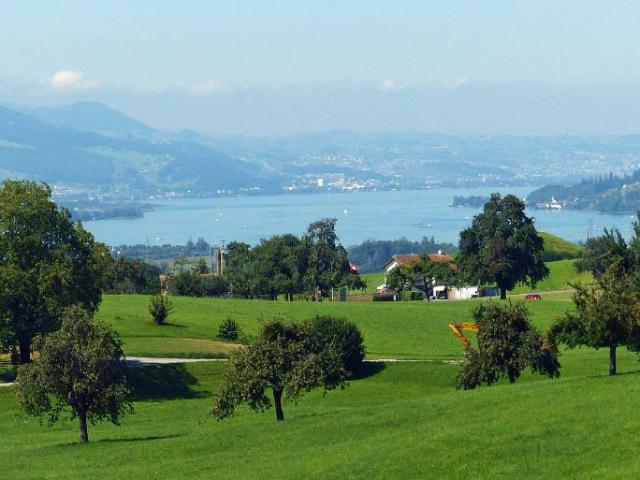 Wohnung kaufen in Gommiswald, St. Gallen