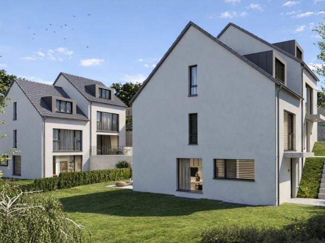 Immobilie kaufen in Waldenburg, Basel-Landschaft