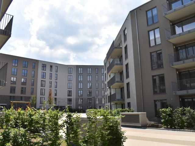 Apartment mieten in Endenich, Bonn