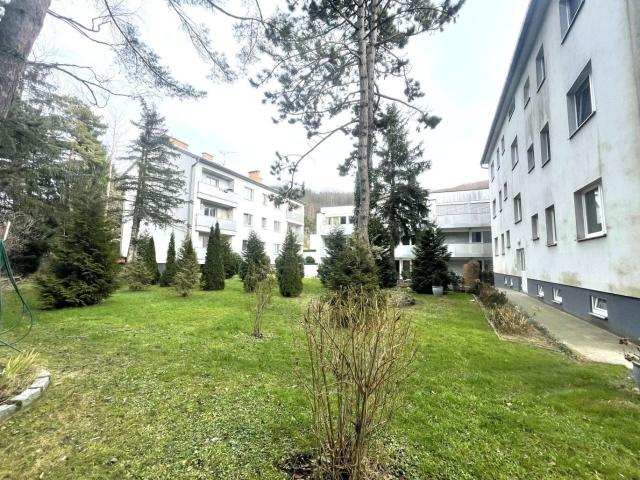 Wohnung mieten in Purkersdorf, Niederösterreich