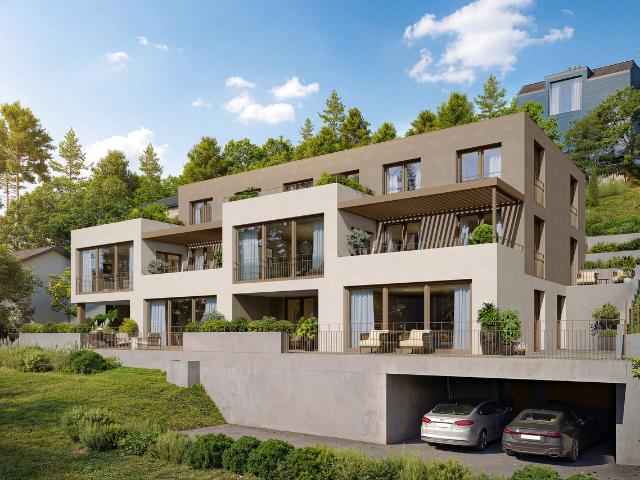 Wohnung kaufen in Seon, Aargau