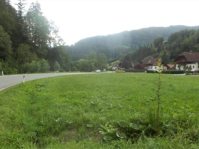 Grundstück mieten in Steiermark