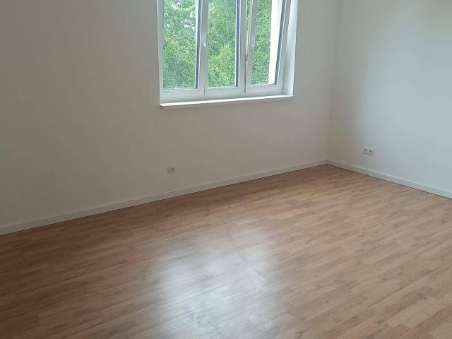 Apartment mieten in Eggendorf, Niederösterreich