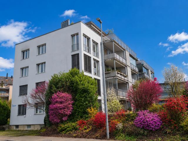 Immobilie kaufen in Murten, Freiburg