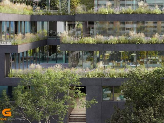 Gewerbe kaufen in Altstadt, Salzburg