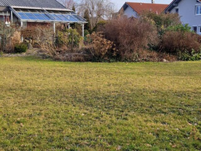 Immobilie kaufen in Gaißau, Vorarlberg