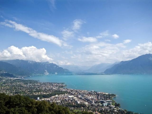 Wohnung kaufen in Jongny, District de la Riviera-Pays-d’Enhaut