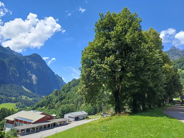 Immobilie kaufen in Dalaas, Vorarlberg