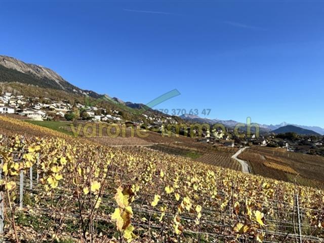 Wohnung kaufen in Chandolin-Savièse, Wallis