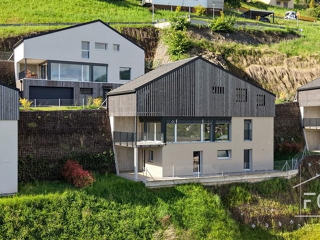 Reihenfamilienhaus kaufen in Monthey, Wallis