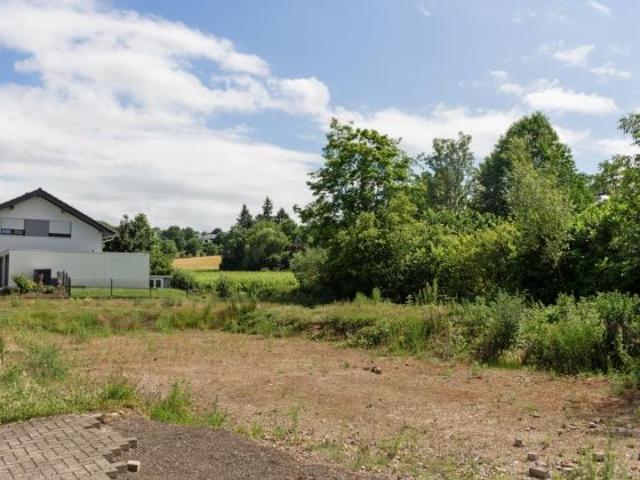 Haus kaufen in Trier, Rheinland-Pfalz