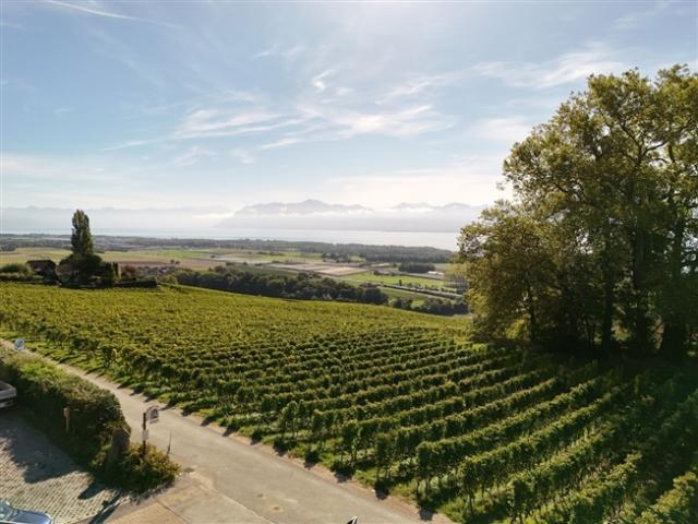 Einfamilienhaus kaufen in Bougy-Villars, Waadt