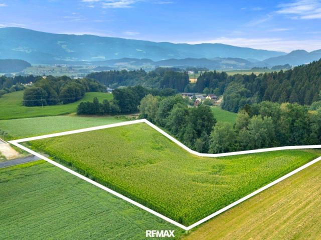 Immobilie kaufen in Kärnten