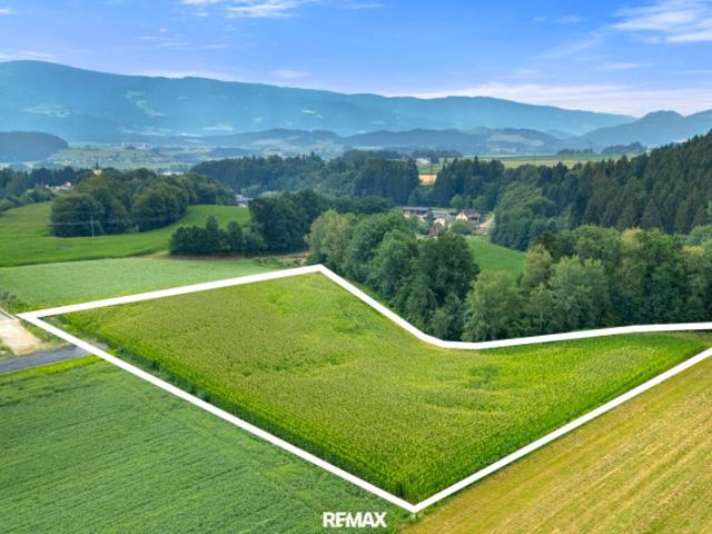 Grundstück kaufen in Kärnten