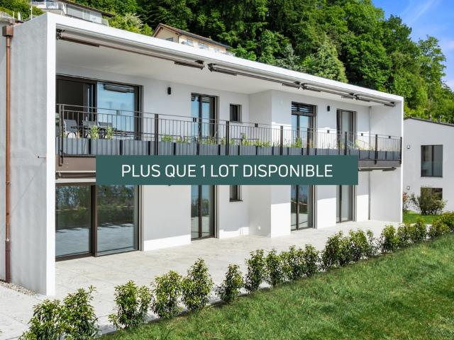 Wohnung kaufen in Bourg-en-Lavaux, Waadt