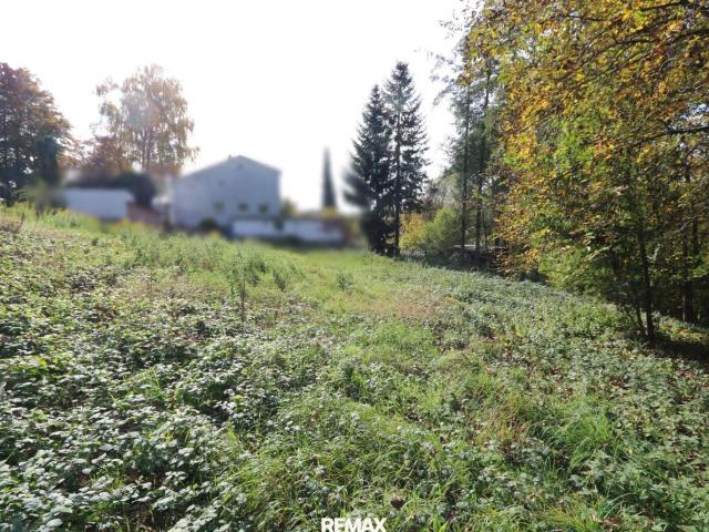 Grundstück kaufen in Thalheim bei Wels, Oberösterreich