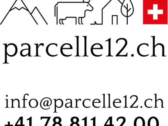 Wohnung kaufen in Romont Fr Sorties, Freiburg