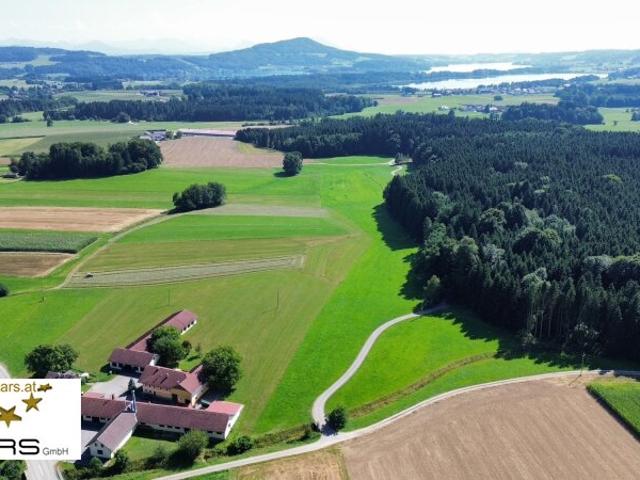 Haus kaufen in Palting, Oberösterreich