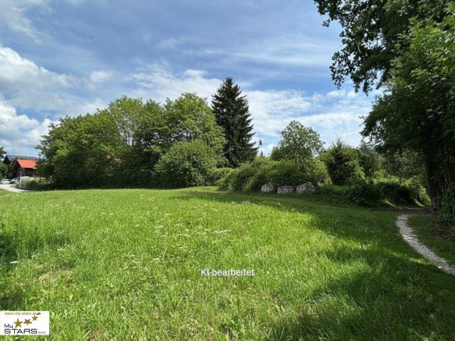 Immobilie kaufen in Ried im Innkreis, Oberösterreich