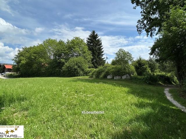 Grundstück kaufen in Ried im Innkreis, Oberösterreich