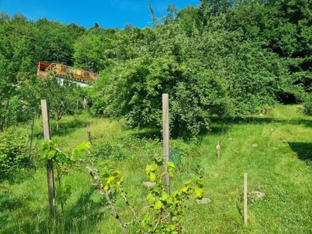 Grundstück kaufen in Pressbaum, Niederösterreich