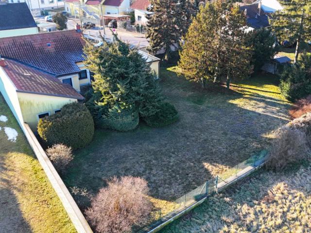 Einfamilienhaus kaufen in Groß-Enzersdorf, Niederösterreich