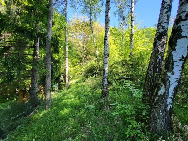 Grundstück kaufen in Gablitz, Niederösterreich