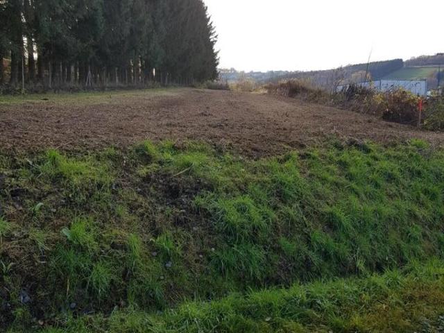 Grundstück kaufen in Stegersbach, Burgenland