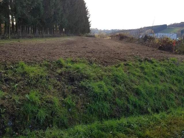 Grundstück kaufen in Güssing, Burgenland