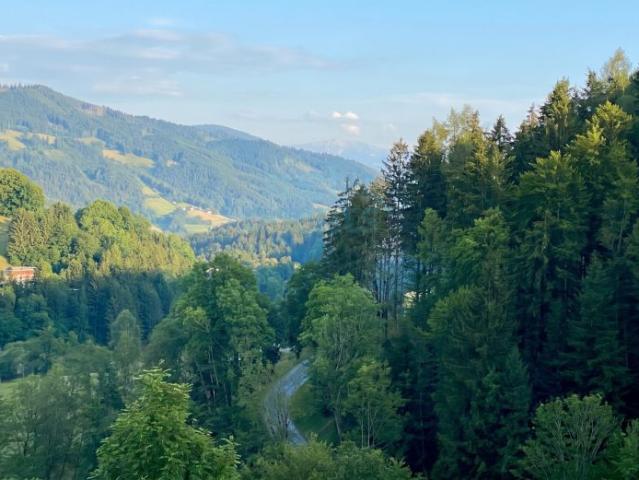 Grundstück kaufen in Reichenau im Mühlkreis, Oberösterreich