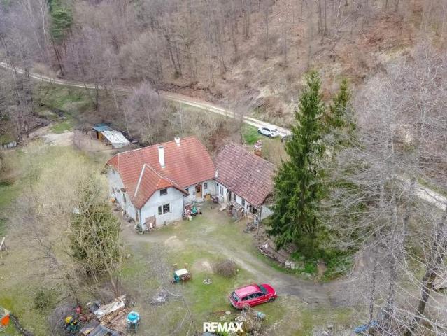 Haus kaufen in Niederösterreich