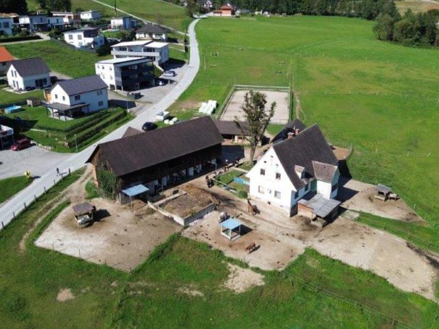 Landwirtschaft kaufen in Stallhofen, Steiermark