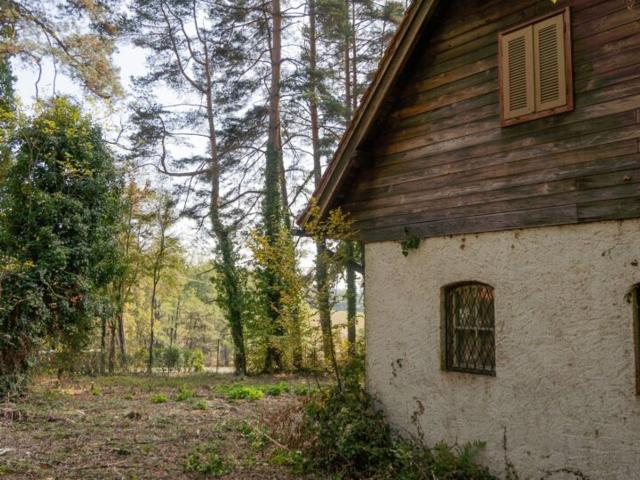 Grundstück kaufen in Stainz, Bezirk Deutschlandsberg