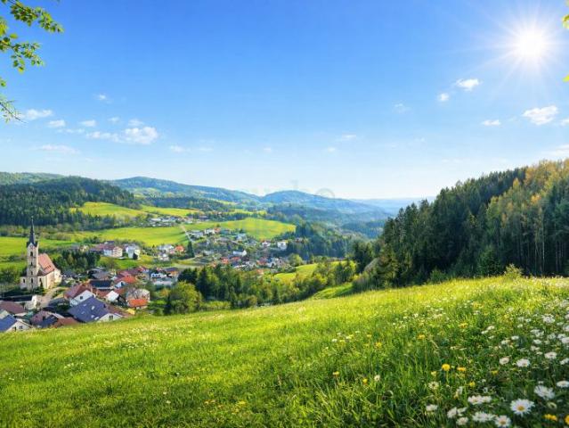 Grundstück kaufen in Reichenau im Mühlkreis, Oberösterreich
