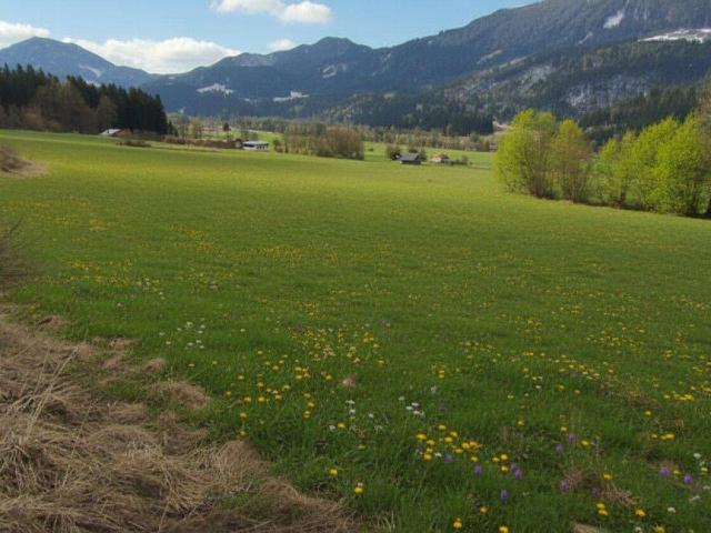 Immobilie kaufen in Berg im Drautal, Kärnten