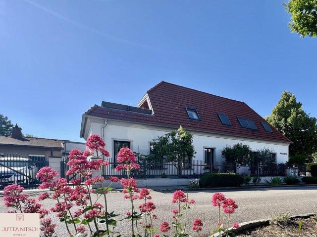 Haus mieten in Traiskirchen, Niederösterreich