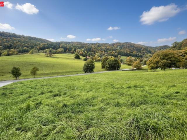 Grundstück kaufen in Stattegg, Steiermark