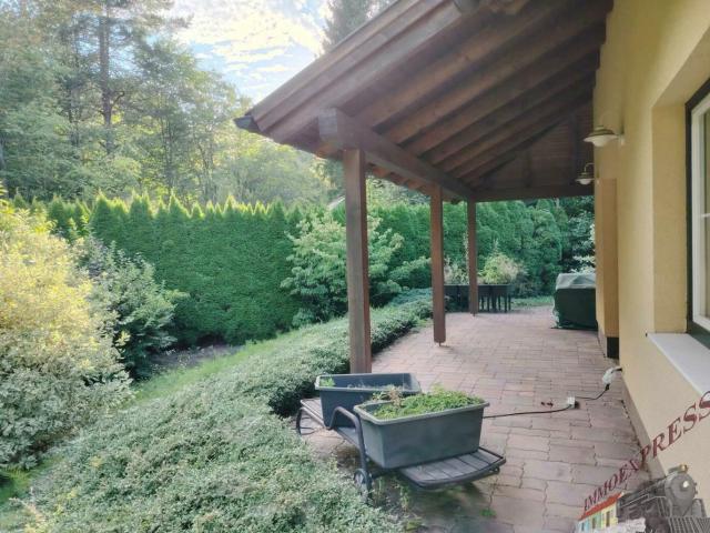 Haus kaufen in Altenmarkt an der Triesting, Niederösterreich
