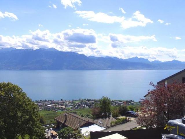 Wohnung kaufen in Bourg-en-Lavaux, Waadt