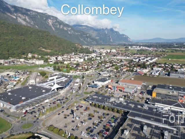 Büro kaufen in Collombey-le-Grand, Collombey-Muraz