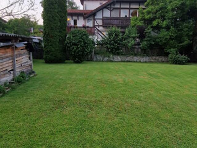 Immobilie kaufen in Altach, Vorarlberg